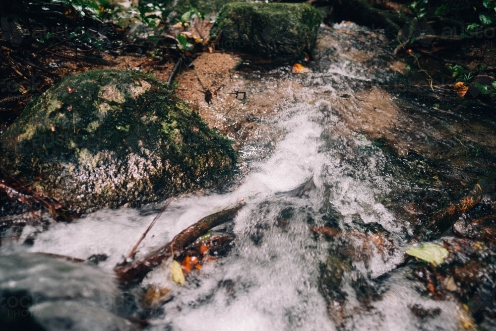 Close up of creek water in Mossman Gorge - Australian Stock Image