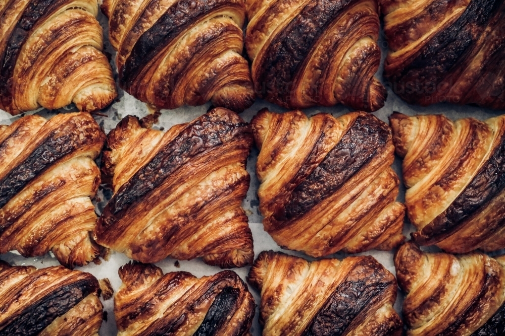 Close up of croissants arranged together on baking paper - Australian Stock Image