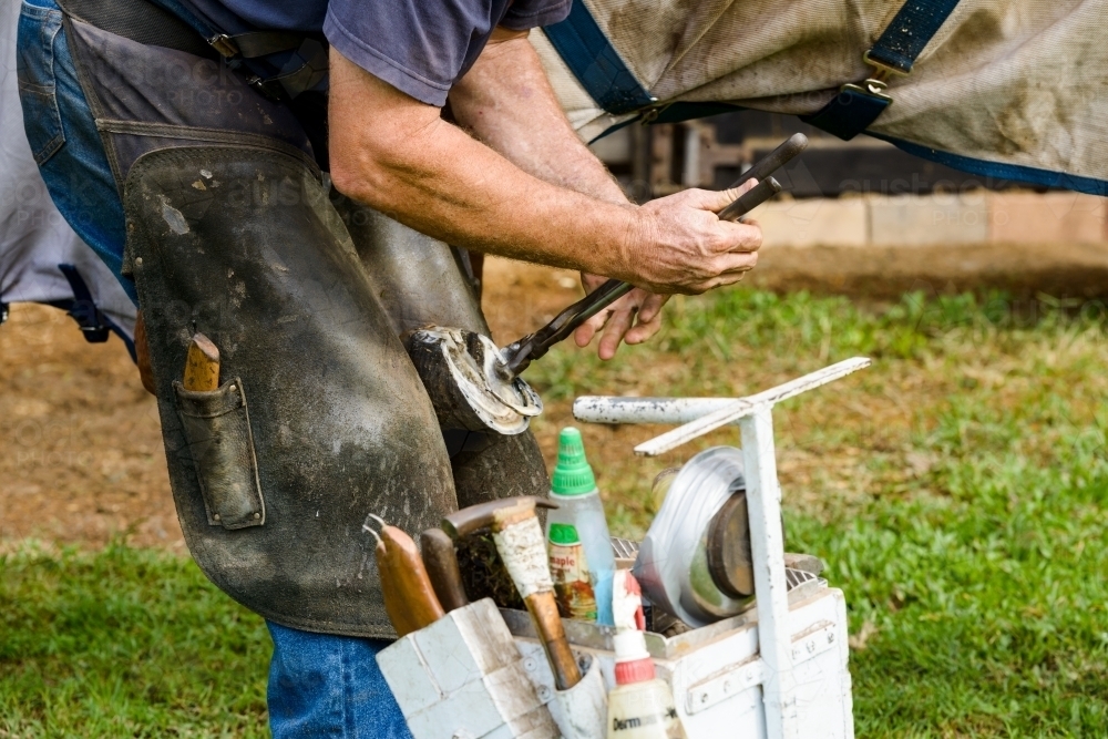 Close up of farrier shoeing a horse - Australian Stock Image