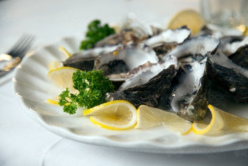 Close up of fresh oysters on a plate in a restaurant - Australian Stock Image