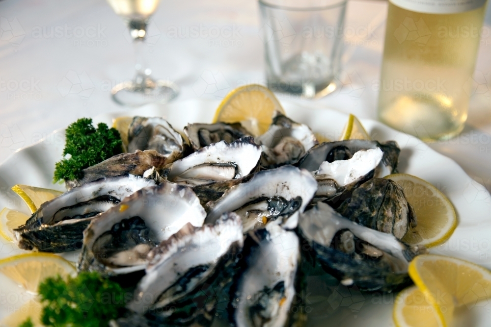 Close up of fresh oysters on a plate in a restaurant - Australian Stock Image