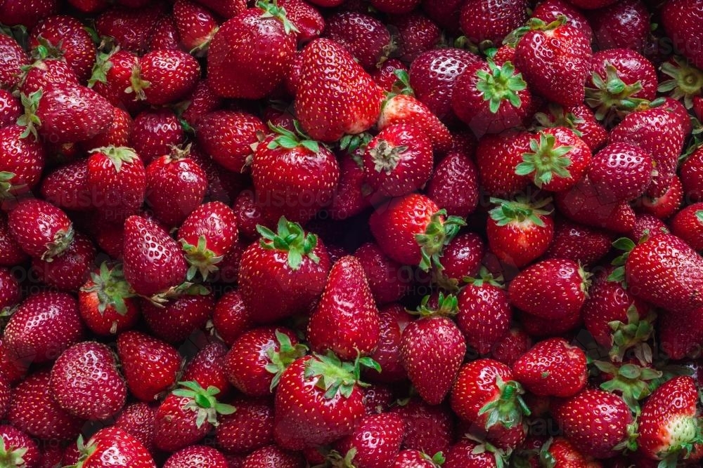 close up of fresh summer strawberries - Australian Stock Image