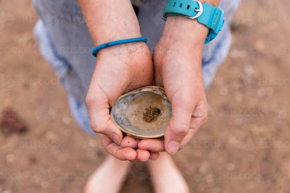 close up of girls hands holding a shell at the beach - Australian Stock Image