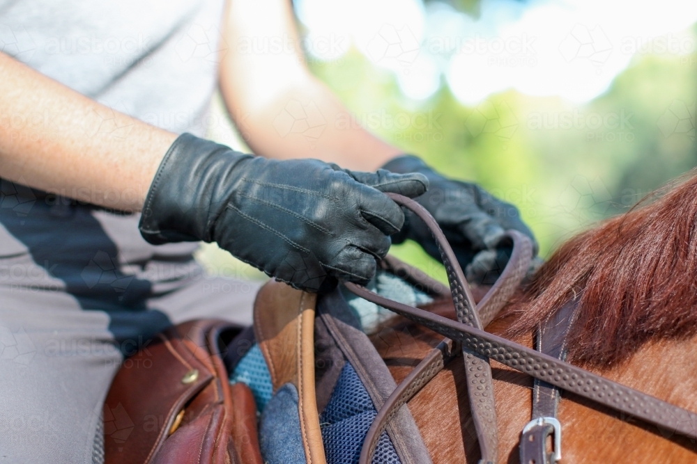 Close up of gloved hands holding riding reins - Australian Stock Image