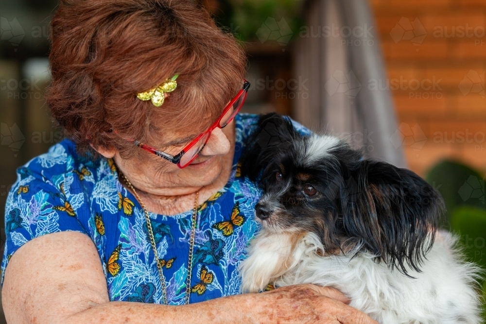 Close up of grandmother with her pet dog together - Australian Stock Image