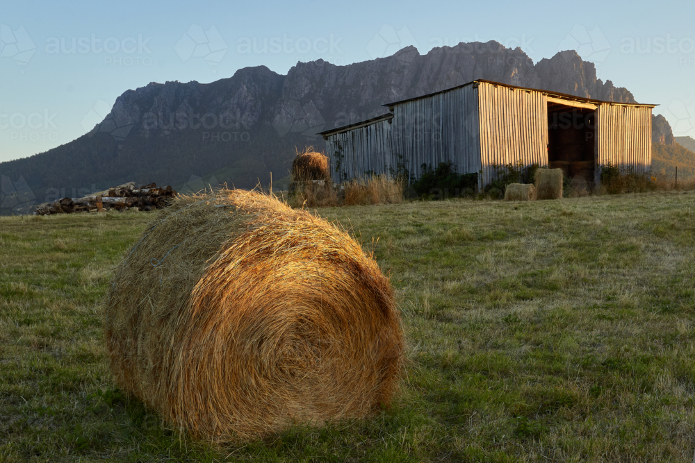 Close-up of haybale on Tasmanian farmland - Australian Stock Image