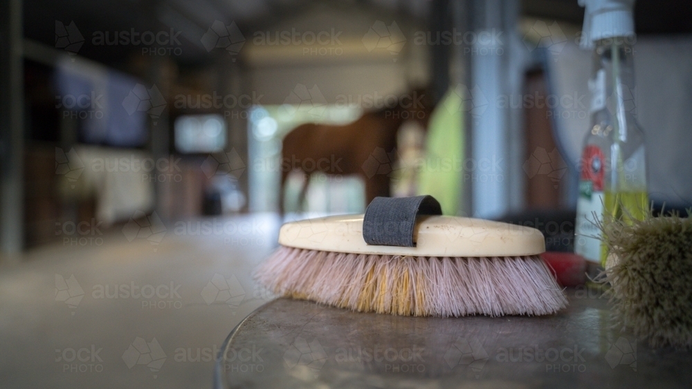 Close up of horse brush - Australian Stock Image