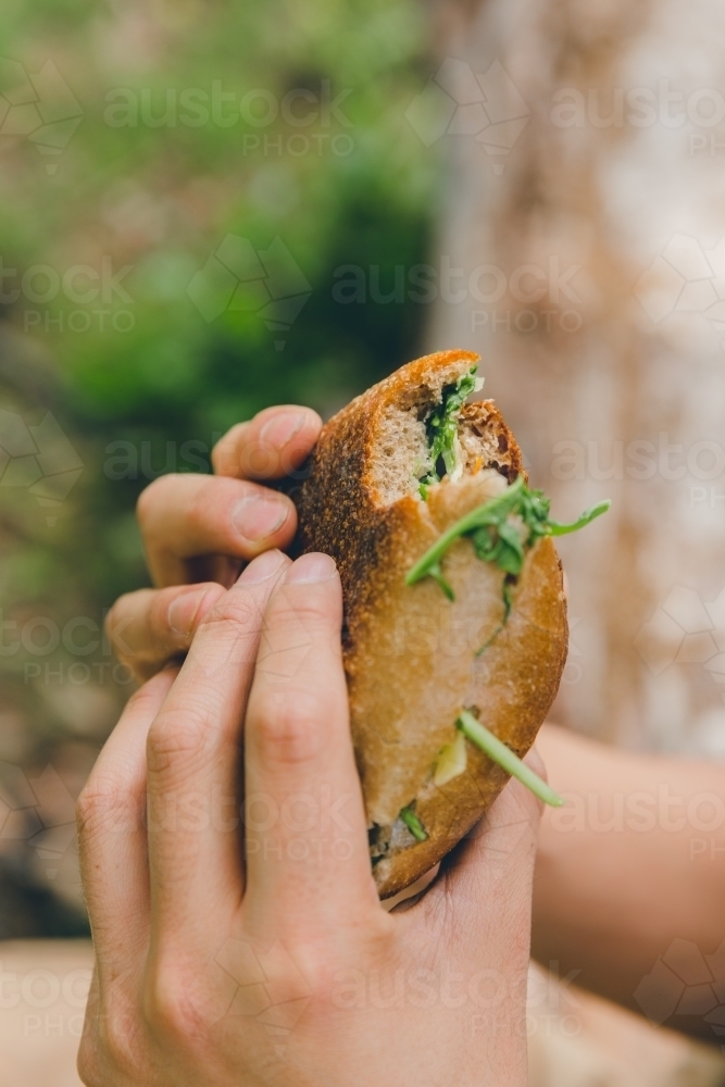 Close up of male hands holding bread roll sandwich, on log in green park - Australian Stock Image