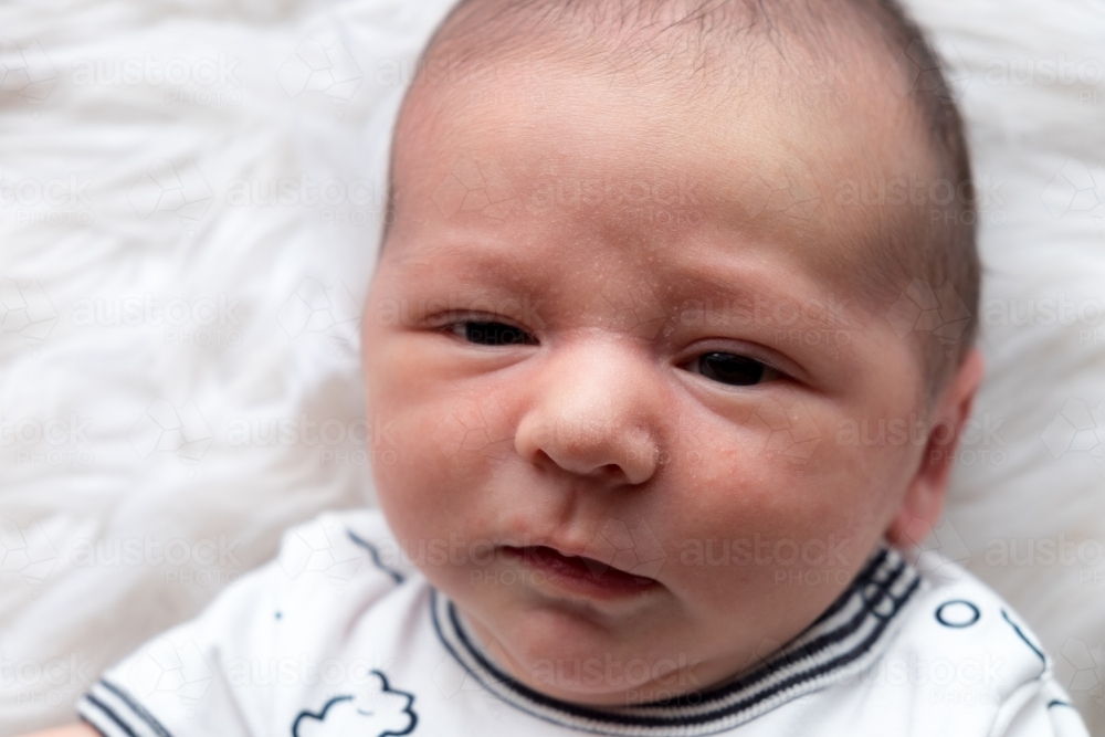 Close up of newborn babies face on white fur rug - Australian Stock Image