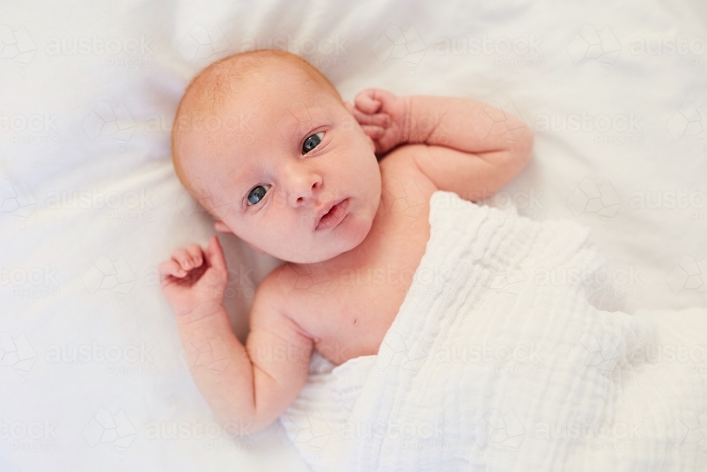 Close up of newborn baby laying down - Australian Stock Image