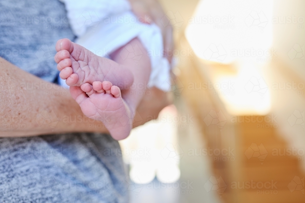 Close up of newborn,s feet - Australian Stock Image