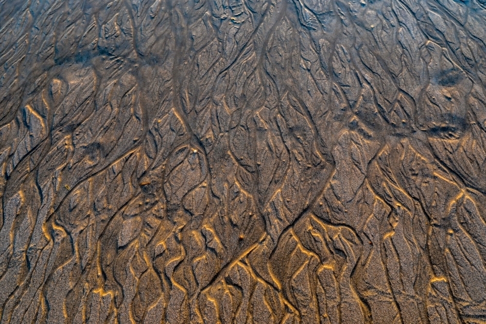 Close up of pattern in sand at low tide : Austockphoto Close up of pattern in sand at low tide - Australian Stock Image