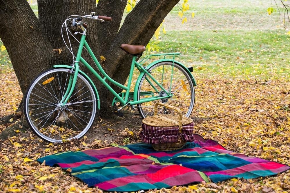 Close up of picnic blanket and green bike under tree with yellow autumn leaves - Australian Stock Image