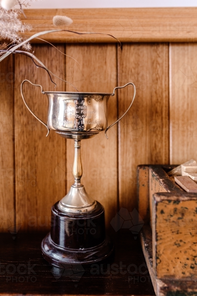 Close-up of trophy against wooden wall in home - Australian Stock Image