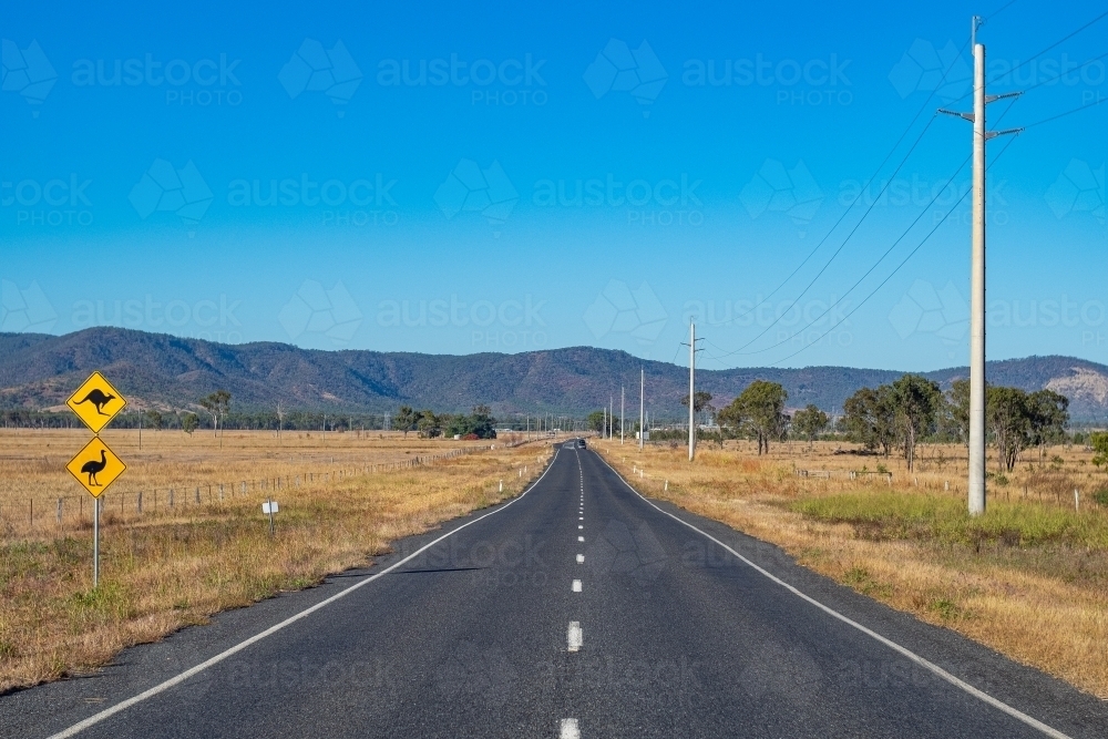 Close up photo of a road and bush land with yellow signages - Australian Stock Image