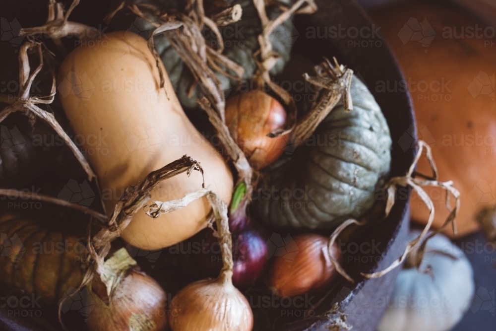 Close up shot of a basket of pumpkins and onions. - Australian Stock Image