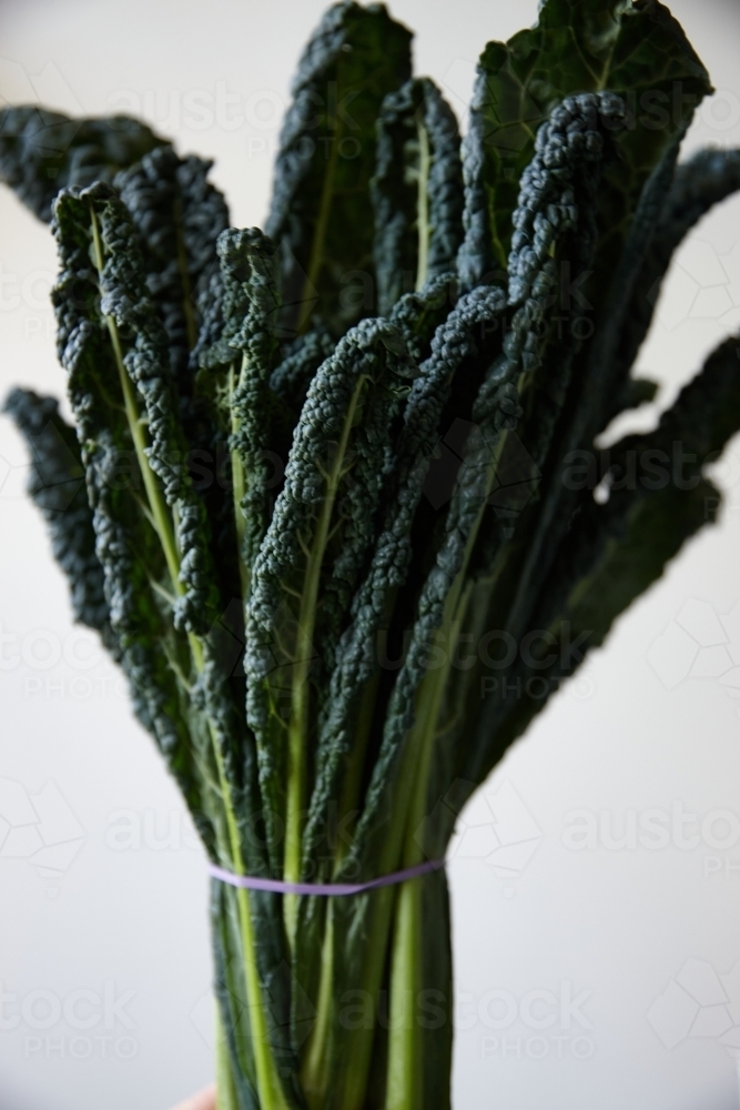 Image of Close up shot of a bunch of kale on white background