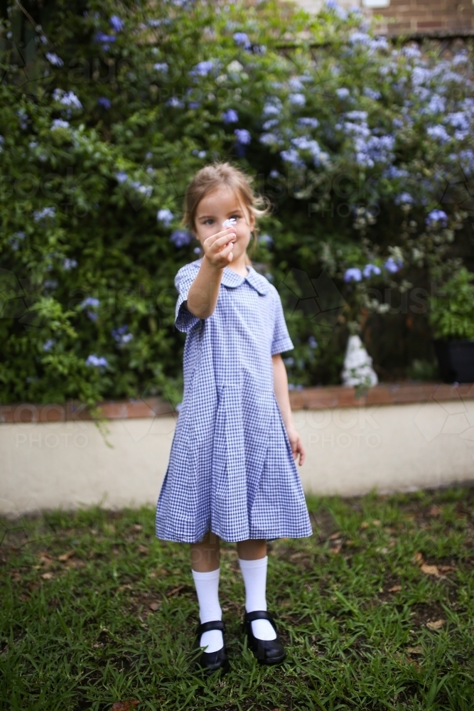 Close up shot of a primary school girl in a uniform holding a little flower - Australian Stock Image