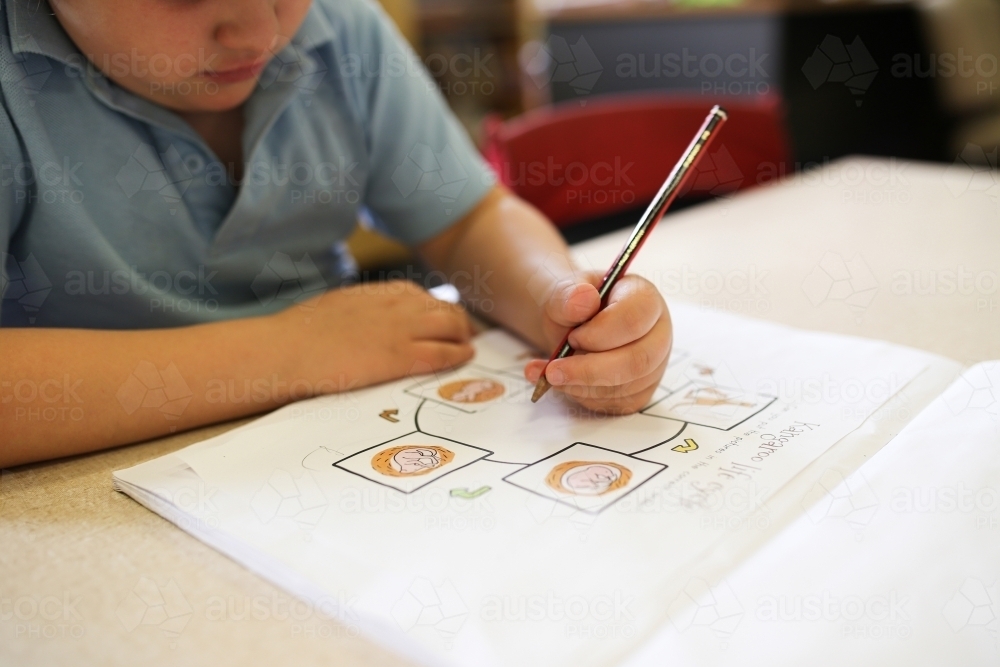 close up shot of a girl sitting and writing in her book with a pencil at school - Australian Stock Image