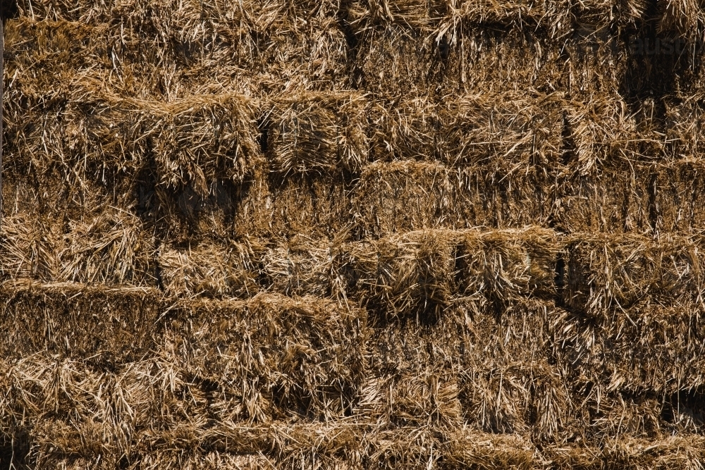Close up shot of a hay bales - Australian Stock Image