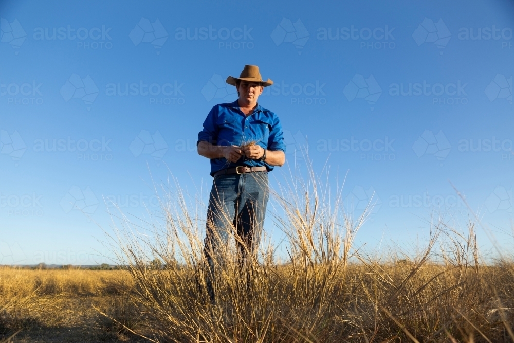 Close up shot of a man standing holding dry grass - Australian Stock Image