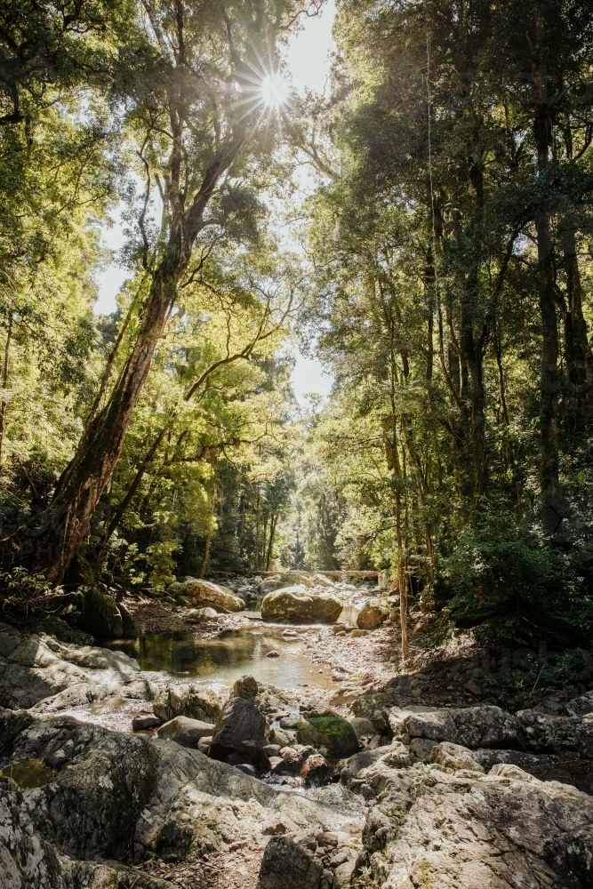 Close up shot of a mountain river in the forest - Australian Stock Image