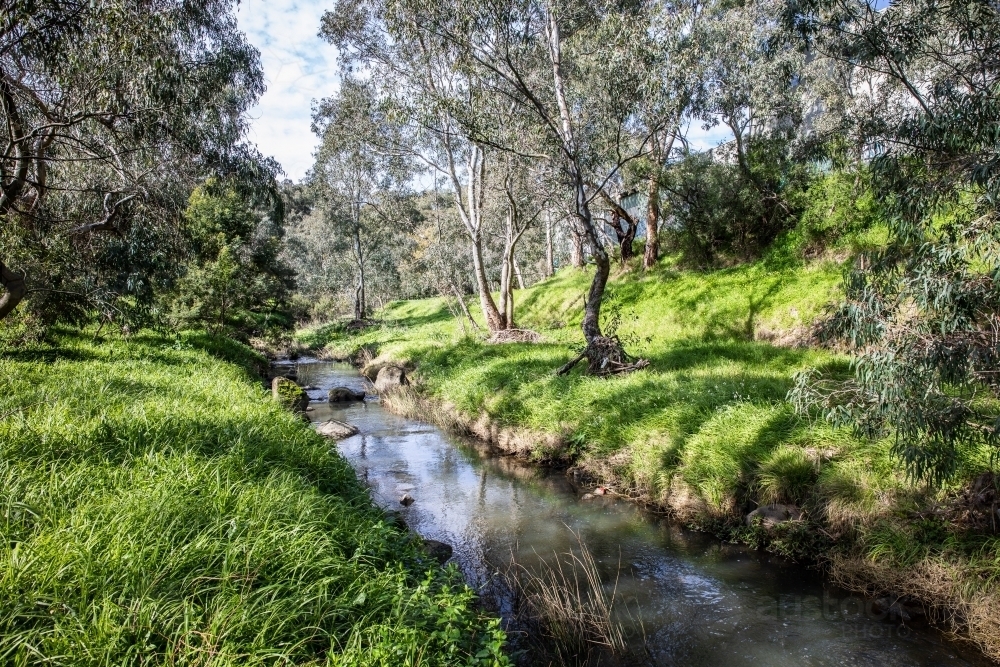 Close up shot of a river with green fields on the side - Australian Stock Image