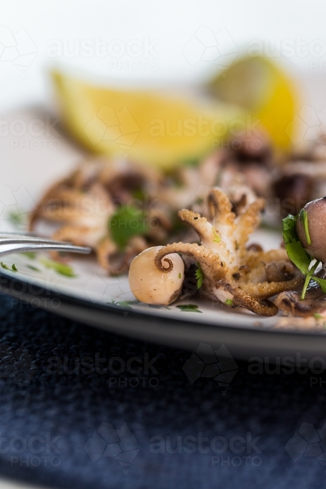 Close up shot of a small octopus in a white plate  and blue table mat with a blurry background - Australian Stock Image