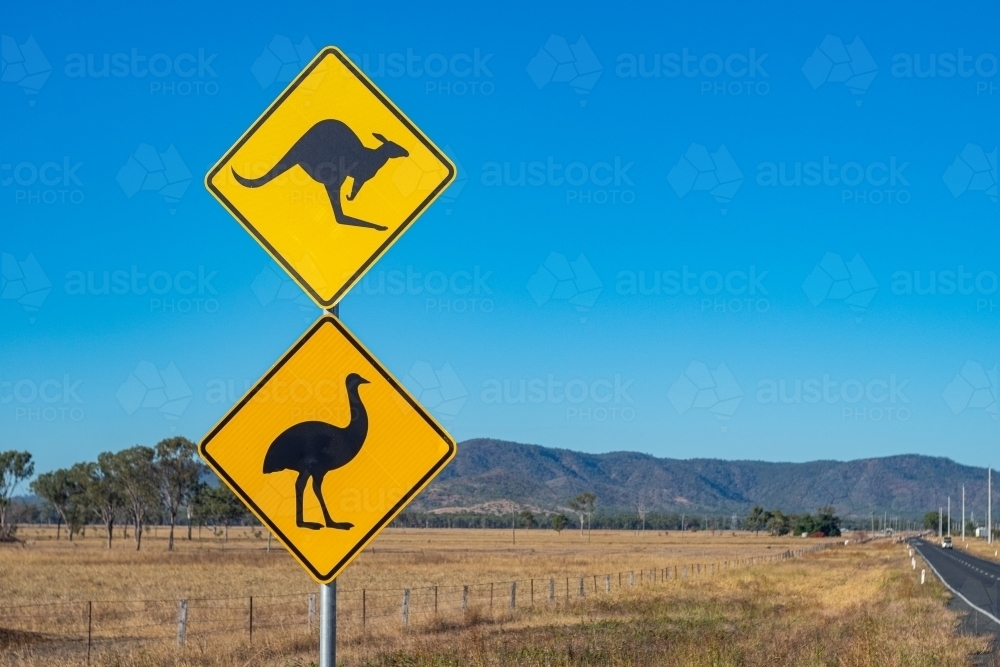 Image of Close up shot of a yellow kangaroo and emu signage on a road ...