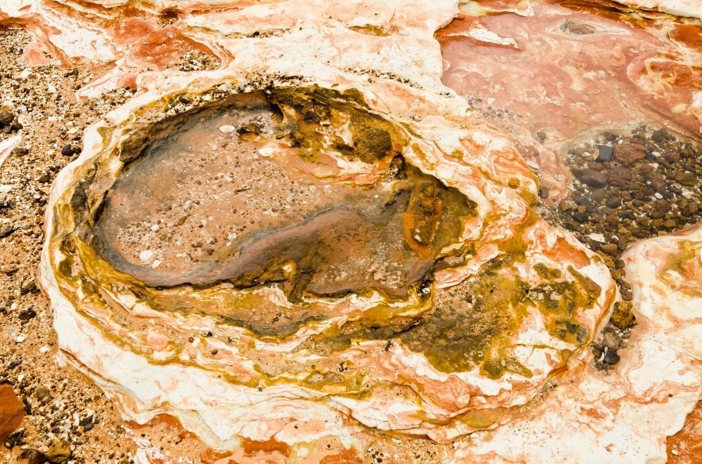 Close up shot of dinosaur footprints in orange and pink rock - Australian Stock Image