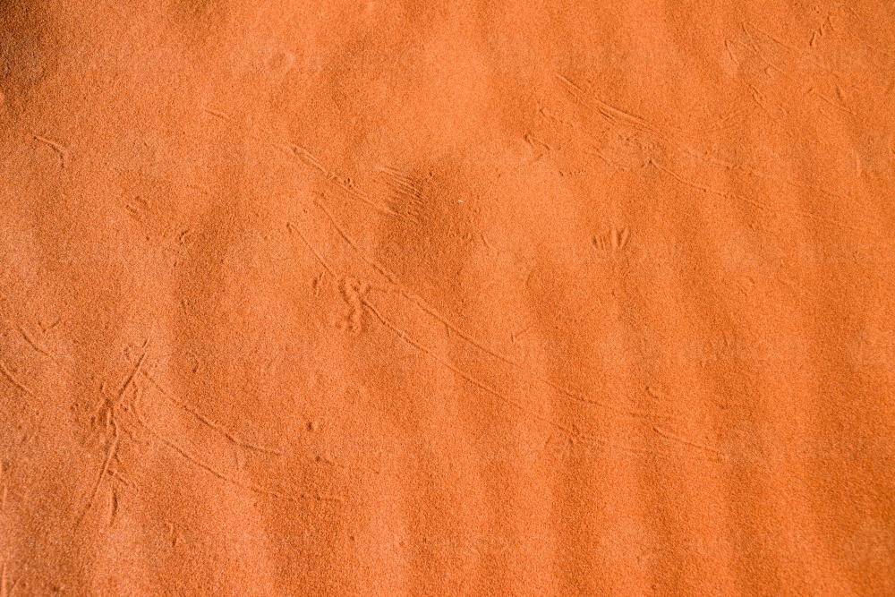 Closeup of bright orange desert sand with animal prints and trails - Australian Stock Image