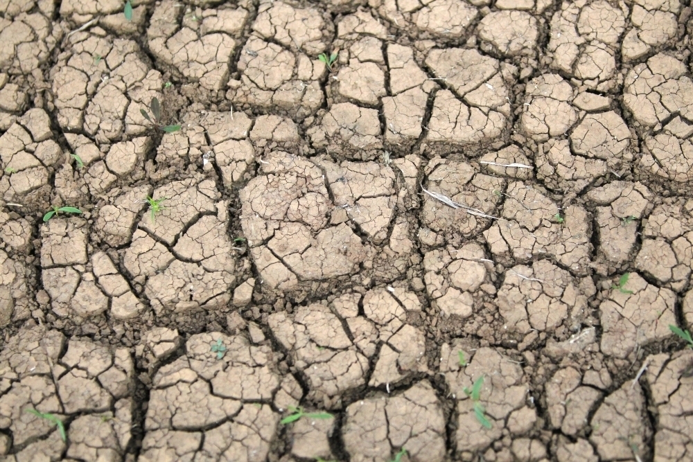 Closeup of cracked mud - Australian Stock Image