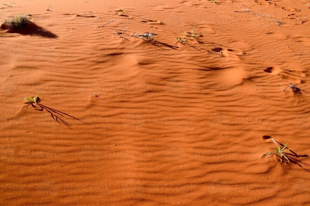 Closeup shot of deep orange desert sands with ripples - Australian Stock Image