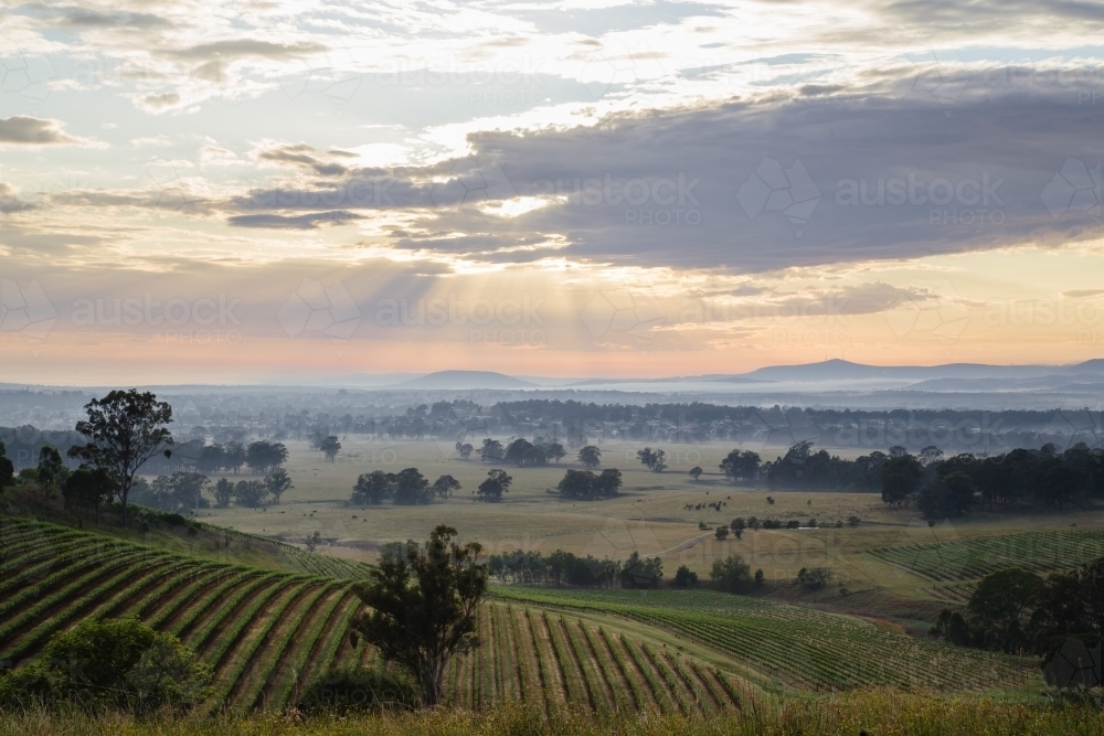 Clouds across vineyards - Australian Stock Image
