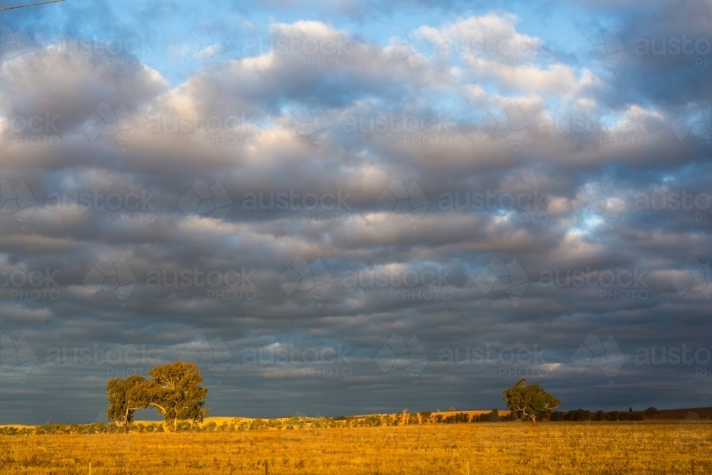 Clouds and rural landscape in the evening light - Australian Stock Image