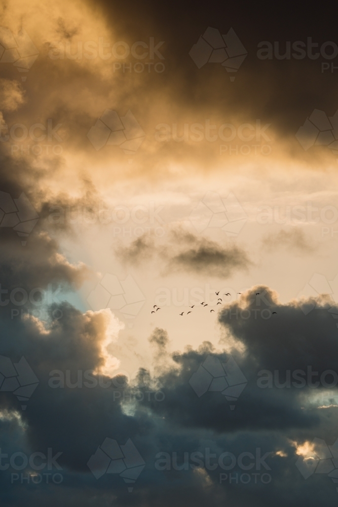 Clouds in the afternoon sky with distant flying flock of birds - Australian Stock Image