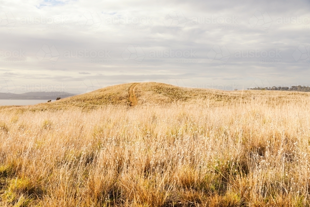 Cloudy sky over low grassland in public coastal nature reserve - Australian Stock Image