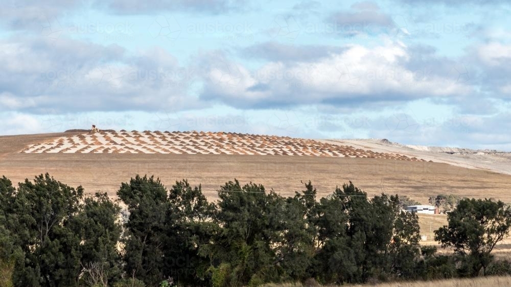 Coal Mine regeneration area - Australian Stock Image