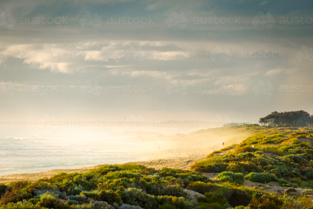 Coastal dune vegetation lit by soft golden light as mist rolls over a quiet beach - Australian Stock Image