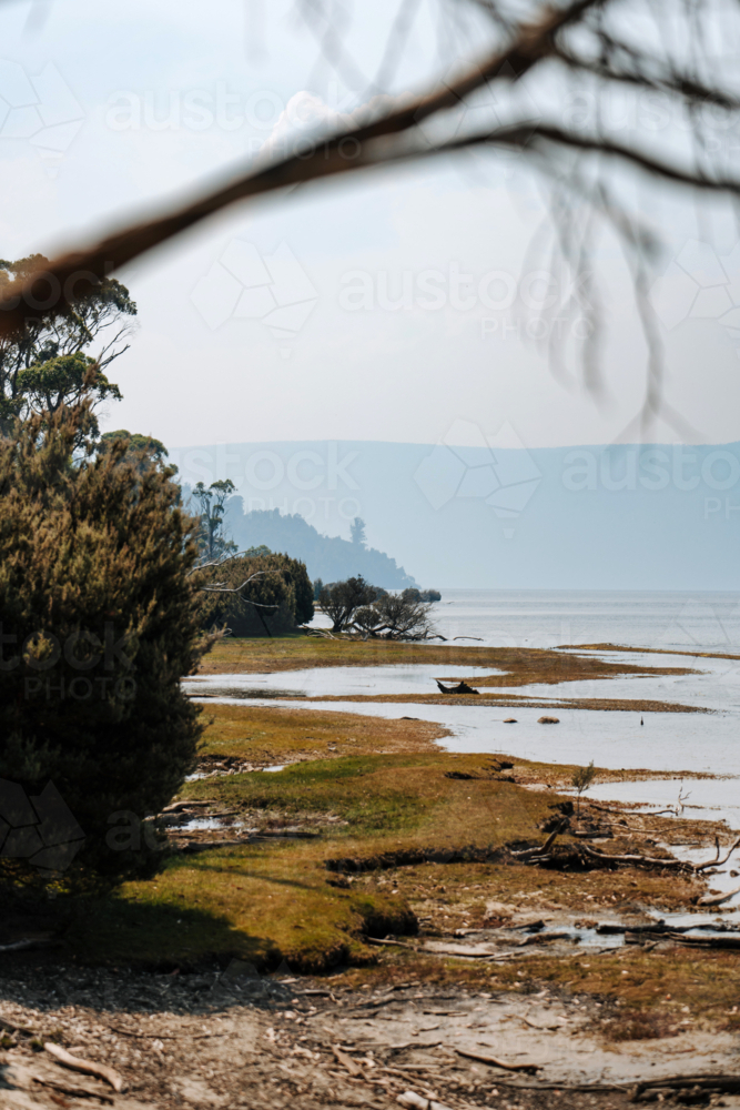 Coastal hillside with golden grass foreground - Australian Stock Image