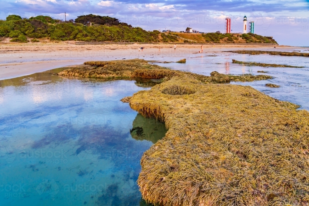 Coastal rock pools at twilight with a beach and lighthouse in the distance - Australian Stock Image