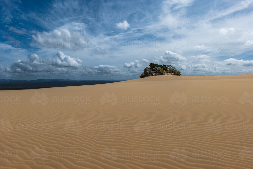 Coastal sand dune landscape - Australian Stock Image