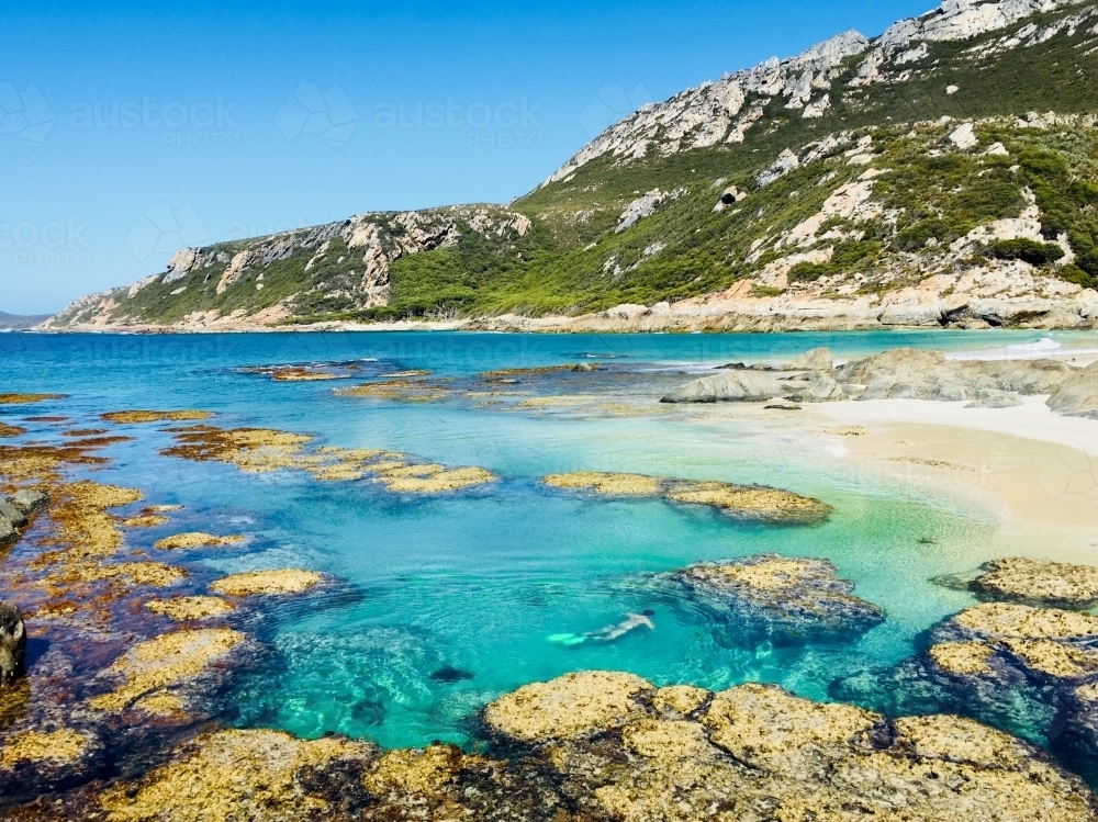 coastal seascape of clear lagoon and sea cliffs with female snorkeler underwater - Australian Stock Image