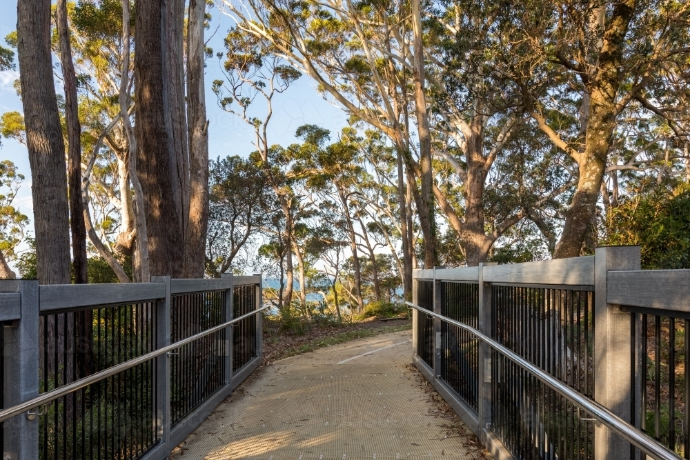 Coastal Walkway Amongst The Trees - Australian Stock Image