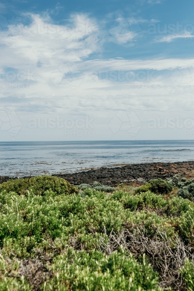Coastline with rocks and plants. - Australian Stock Image