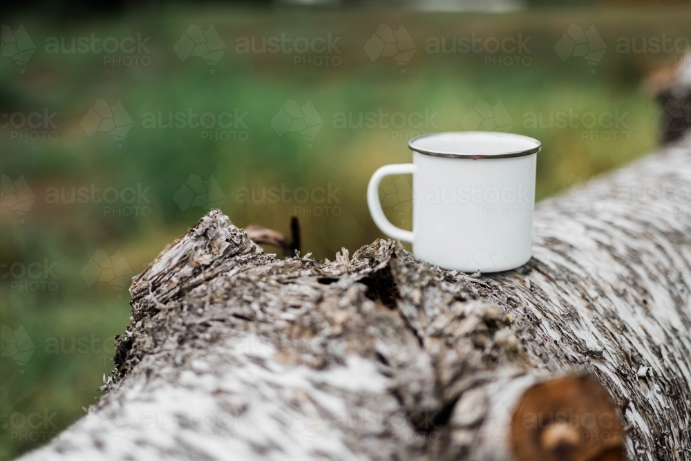 Coffee cup sitting on log outside - Australian Stock Image