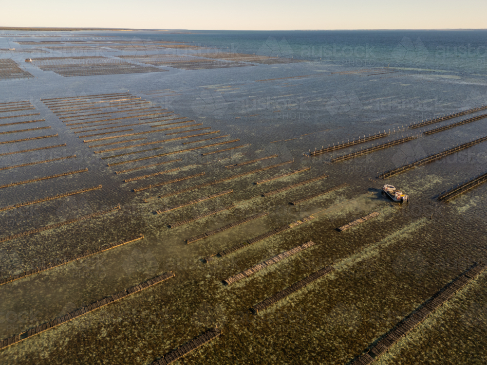 Coffin Bay oyster farm from air - Australian Stock Image