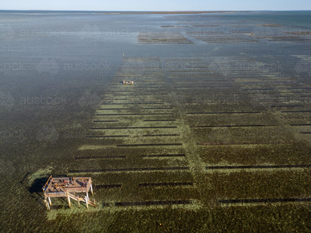 Coffin Bay oyster farm from air - Australian Stock Image