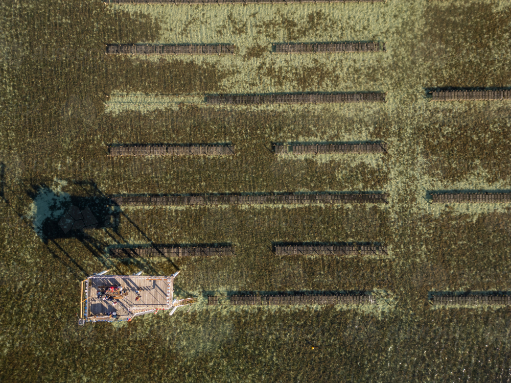 Coffin Bay oyster farm from air - Australian Stock Image