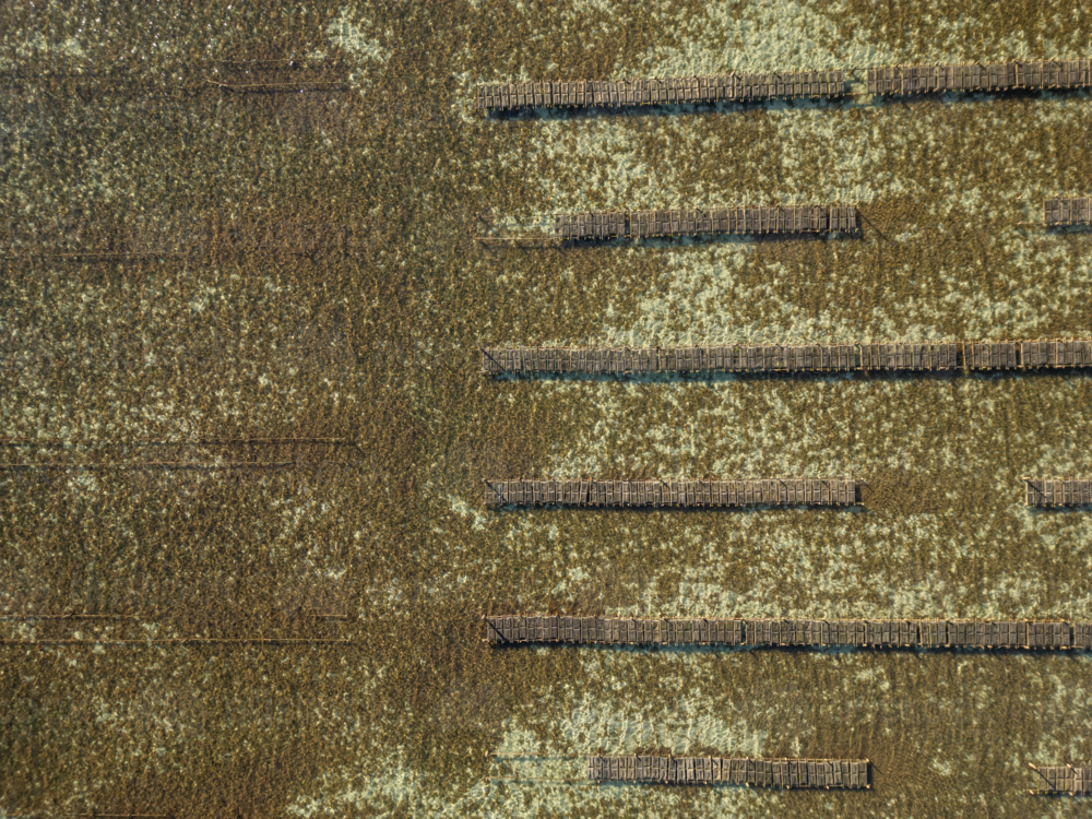 Coffin Bay oyster farm from air - Australian Stock Image